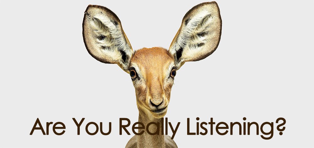 Are You Really Listening?